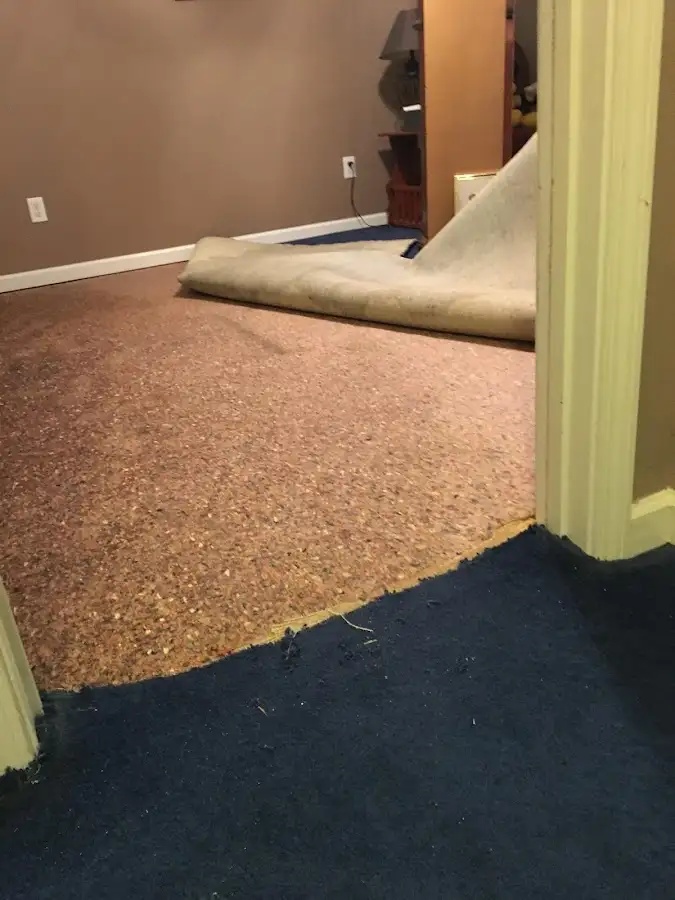 Carpet pad removal revealing water damage during Drying & Dehumidification in Spring Hill