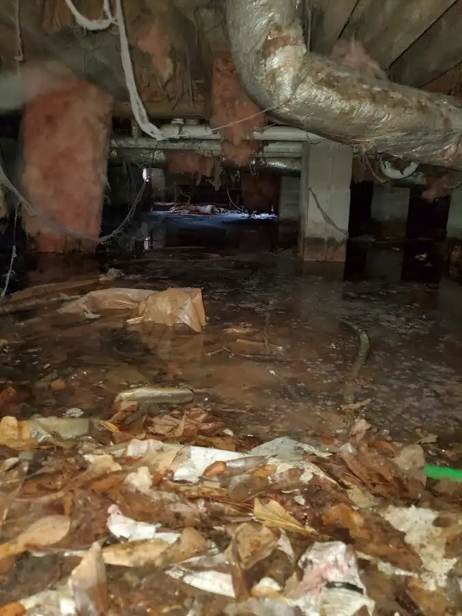 Crawl space flood assessment for Commercial Water Damage Restoration in Spring Hill