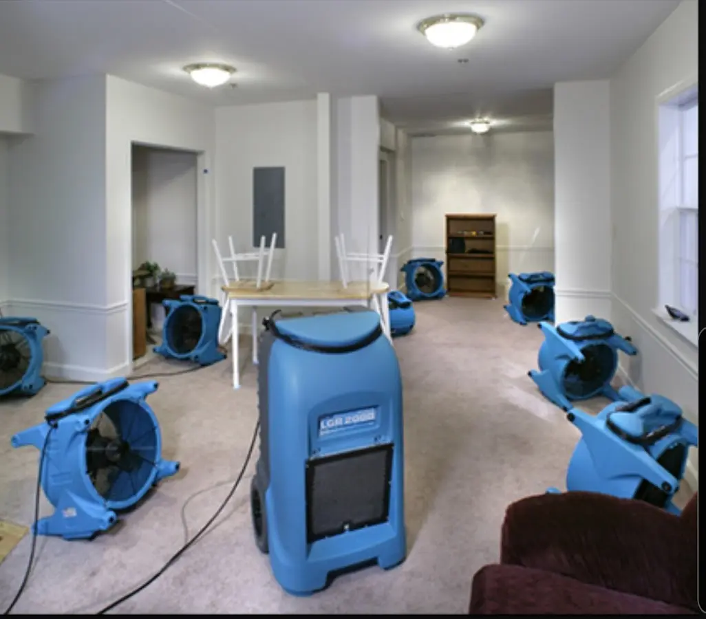 Air movers and dehumidifier setup for Water Extraction & Removal in Spring Hill