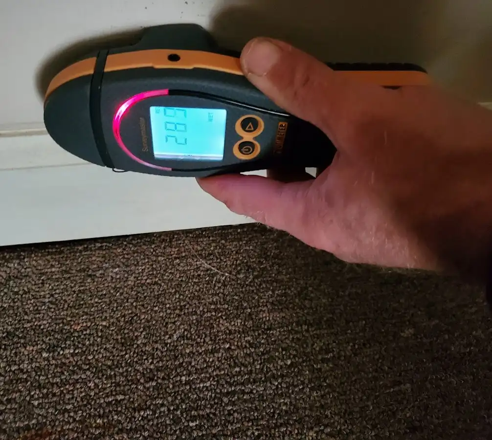 Moisture detection at baseboard during Storm Damage Restoration in Spring Hill